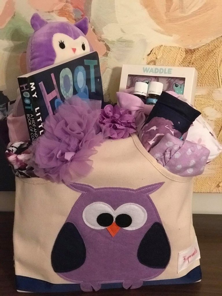 purple owl baby girl gift basket