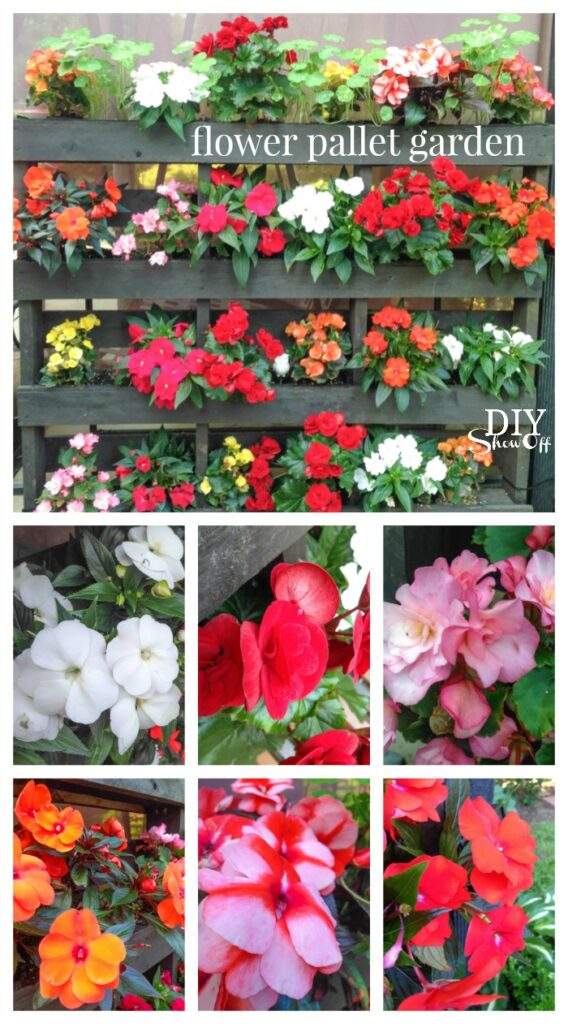 flower pallet garden 