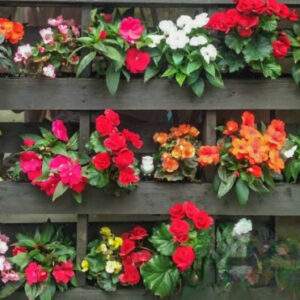 Vertical pallet garden full of colorful flowers.